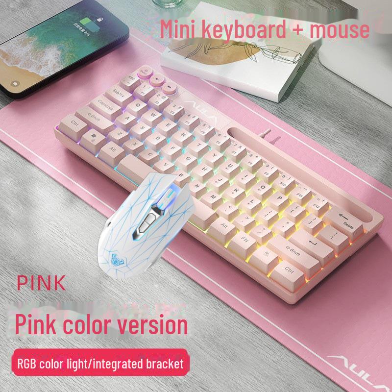 AULA Wolf Spider F3061 Mini 61-Tasten RGB Kabelgebundene Tastatur
