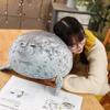 26-27 80cm Chubby 3D Novelty Sea Lion Doll Angry Blob Seal Pillow Plush Stuffed Toy Baby Sleeping Throw Pillow Gifts for Kids Girls