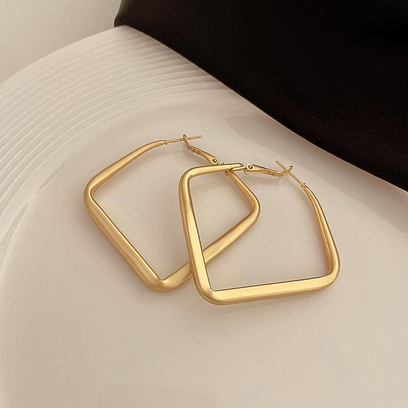Silver Needle Geometric Metal Earrings: Elegant, Fashionable, High-End Design Stud Jewelry.