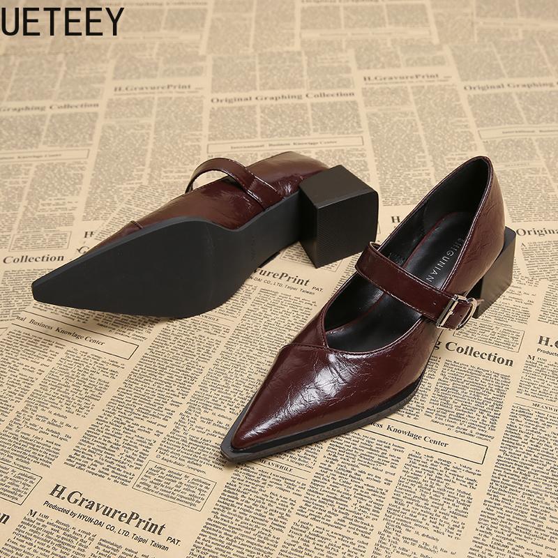 Fashion Designer Vintage Pointed Toe Women Mary Jane Shoes Fashion Shallow Buckle Shoes Spring Ladies Elegant Dress Thick Heel Shoes