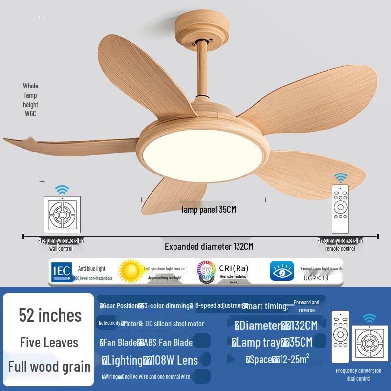 Oeny Ceiling Fan Light