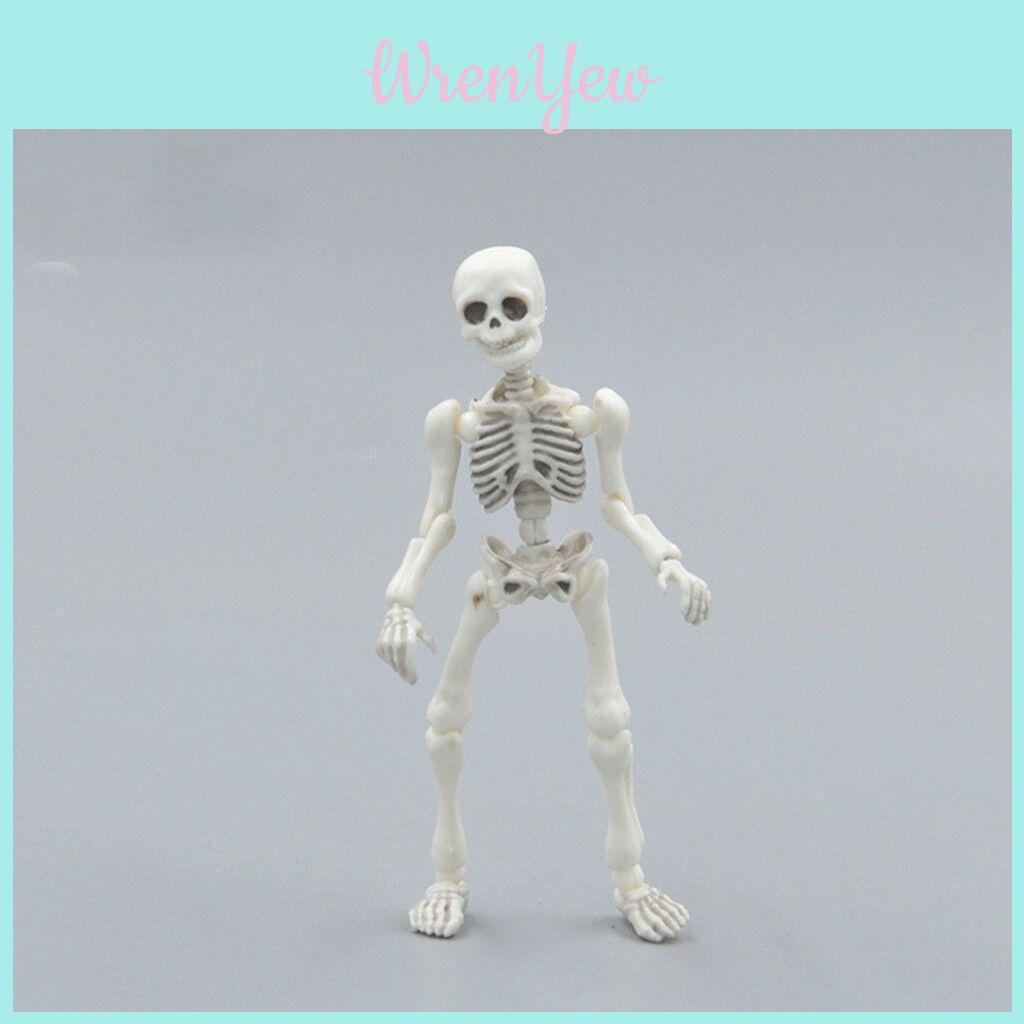 Skull Toy Pose Skeleton Human Body Flexible Model Doll For Home Decor And Gifts
