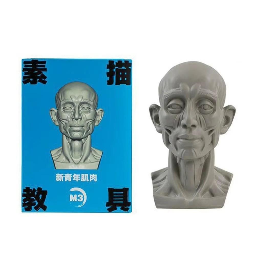 Still Life Ornament Planar Head Model Resin Skecthing Painting Sculpture  for Art Beginner