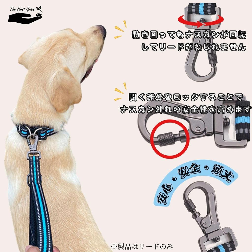 TheFirstGrain Short Lead for Large and Medium Great for Walking and Reflective Gentle On Hands Dogs, Training, Durable, Sturdy, Material, (Black, L)