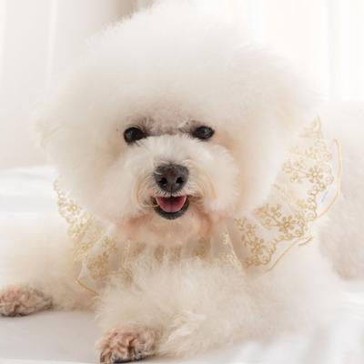 Collier pour animal de compagnie en dentelle Respirant Élégant Fournitures pour animaux de compagnie Collier en dentelle pour chien chat avec