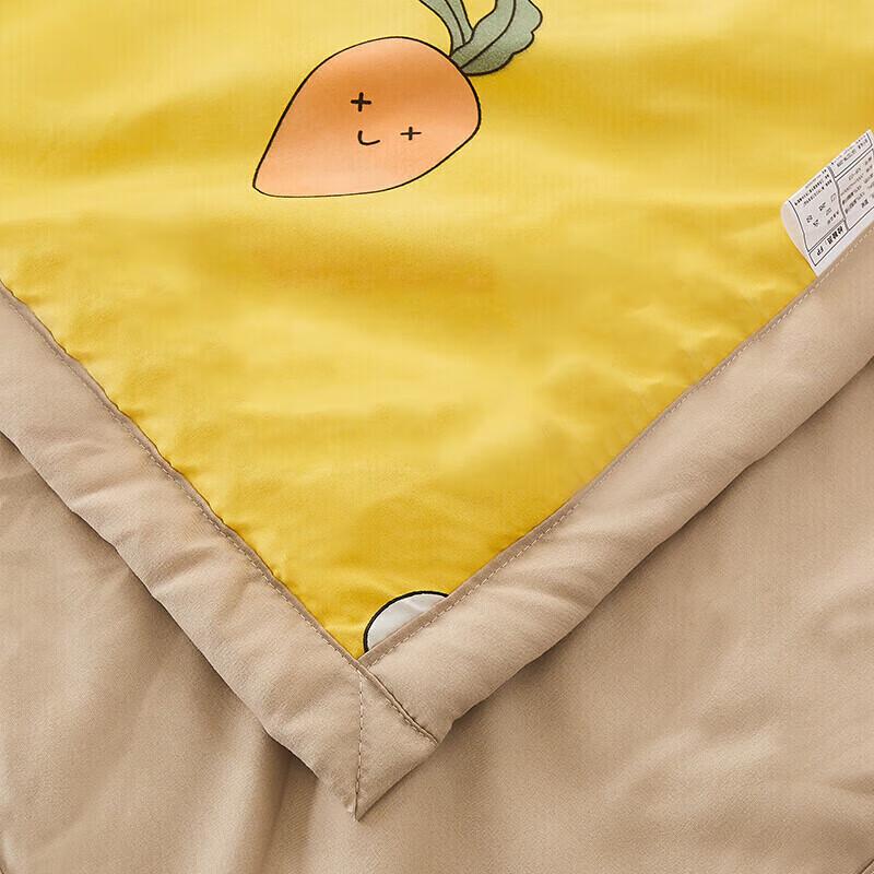 Jiu Zhou Lu Washable Summer Fiber Quilt