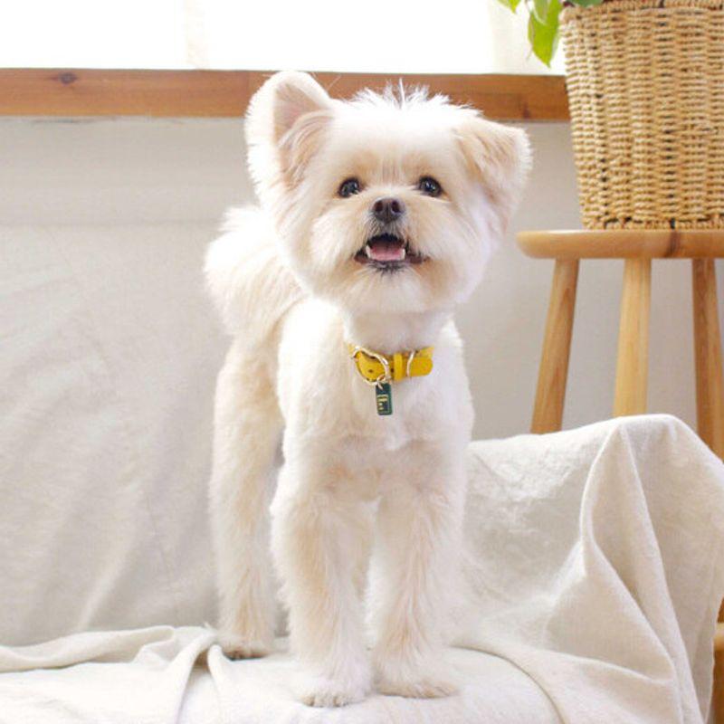 MAISON DE MIU Heart Pendant Collar - Yellow