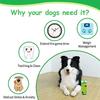 Malydyox Dog Toys for Boredom Interactive Squeaky Dog Toys for Small and Medium Dogs  Soft Puppy Teething Toy  Snuffle Dog Toys  Foraging Training and