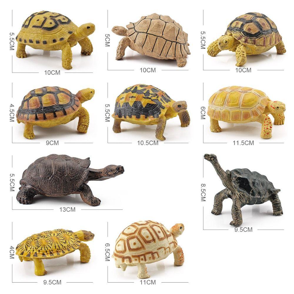 Realistic Sea Turtle Model Simulation Tortoise Animals Figurines  Children Gift