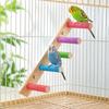 Wood Parrot Ladder Colorful Perches Bird Climbing Toy New Bird Bridge  Parrot Toys