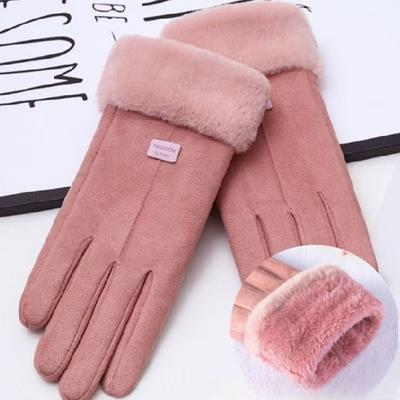 Women's Gloves In Autumn And Winter Windproof Warm Plus Velvet Gloves