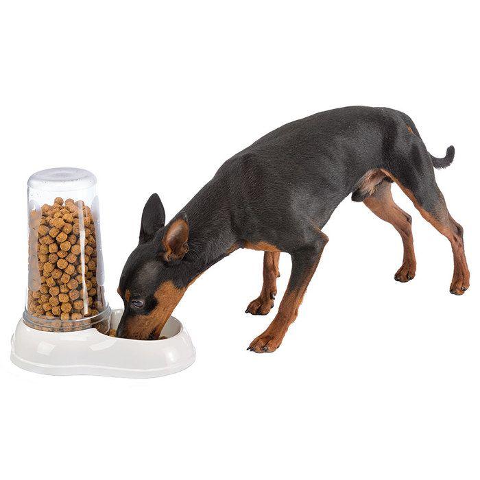 Mangeoire pour animaux td® 12,5 x 19 x 19,5 cm remplissage automatique eau/nourriture design amovible