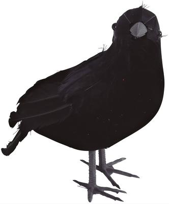 Party Supplies – Halloween Accessories