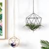 Nordic Geometric Flower Stand Air Plant Pot Wedding Decor Ornament