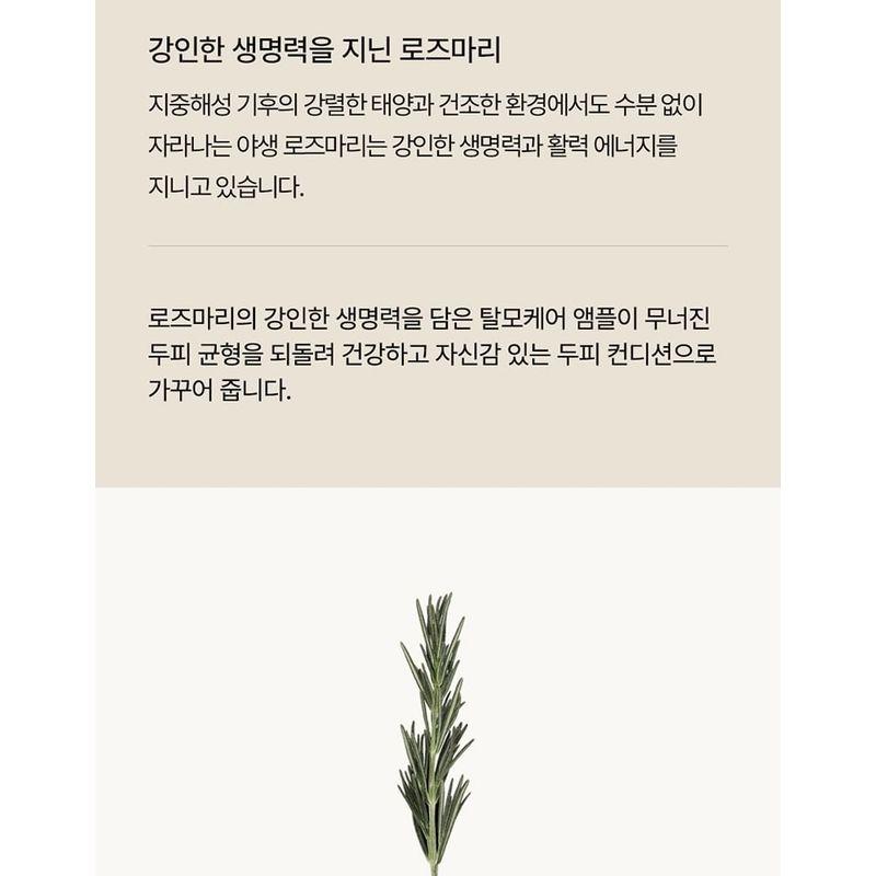 AROMATICA - Rosemary Root Volumizing Scalp Ampoule