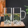 Shengfuyuan High Borosilicate Glass Mugs with Handle (Set of 2)