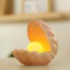 Luminous Pearl Shell Jewelry Box & Dreamy Ceramic Lamp