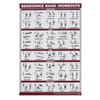 Resistance Bands Workout Poster Easy To Read Effective 60 X 90cm Stretching Exercise Chart for Home