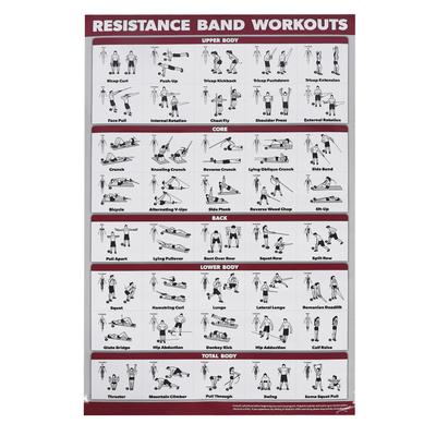 Resistance Bands Workout Poster Easy To Read Effective 60 X 90cm Stretching Exercise Chart for Home