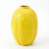 Nordische Zitrone Keramikvase Ornament für Hydroponikblumen - Frisches Dekor Handwerk