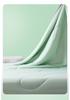 Lianggan Silk Double-sided Summer Cool Quilt