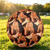 Sabrina Carpenter Size 5 Soccer Ball, Durable Standard Football For Training Match Outdoor Sports