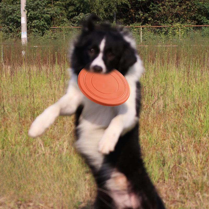 Pet Toys, Dog Frisbees, Pet Interactive Training Frisbees, Floating Water, Biting Soft Frisbees, Pet Supplies