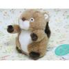 Takenoko Puchi Puchi Land Forest Friends Squirrel Plush Toy 58438