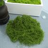 30/100G Artificial Green Moss DIY Crafts Indoor Plants Fairy Gardens Table Centerpieces Fish Tanks Microlandscape Decorative Fake Moss