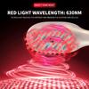 Cross-Border Hand Held ABS Ems Red Light Waterproof USB Powered Hair Comb Essential Oil Meridian Head Home Use Beauty Equipment