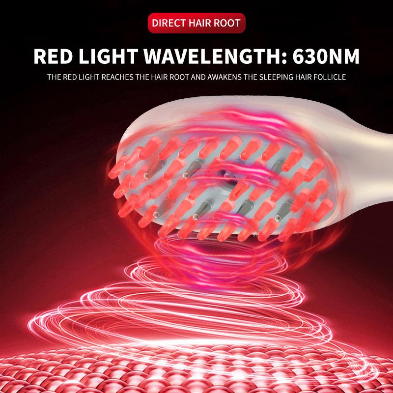 Cross-Border Hand Held ABS Ems Red Light Waterproof USB Powered Hair Comb Essential Oil Meridian Head Home Use Beauty Equipment