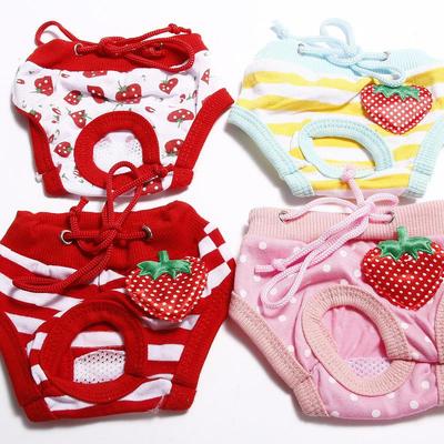 Giyim ve ayakkabı – Köpek Şortları