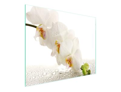 SKLENĚNÁ KRÁJECÍ DESKA 52x30 ORCHIDEA