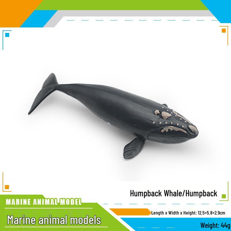 Children's Marine Life Humpback Whale Model Toy Simulation