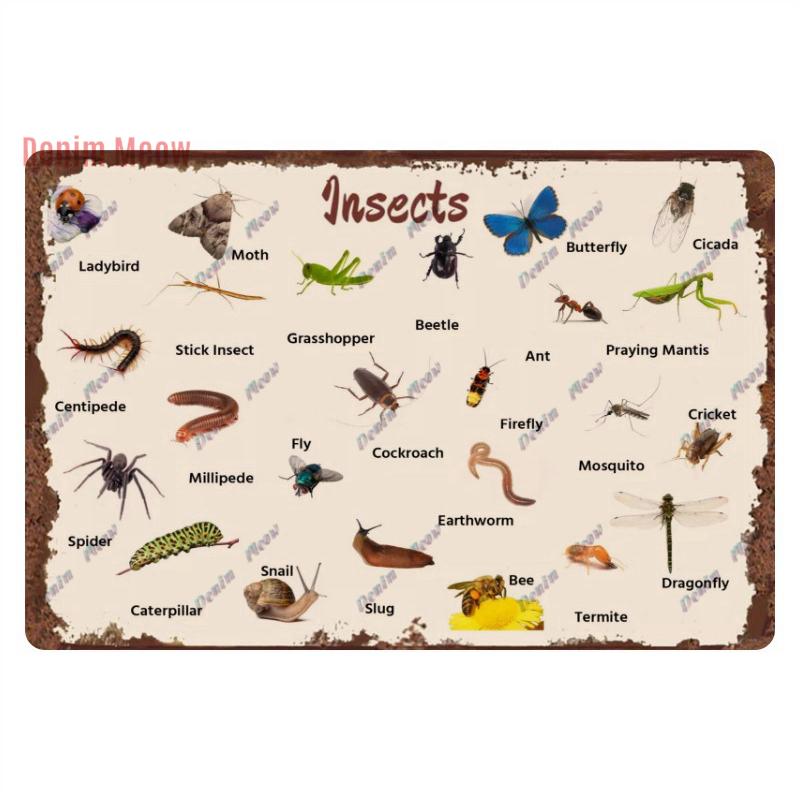 Funny Plants Metal Tin Sign Vintage English Flowers Retro Fruits Butterflys Animals Wall Poster Home Plates WY