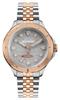 Vivienne Westwood VV219RSSL Men's Watch (Parallel Import)