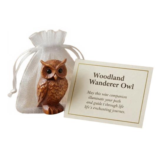 

Лісова сова-фігурка з надихаючою листівкою Ручна різьба статуетки сови Природний орнамент з дикою природою Сова для емоційної підтримки Кишенькове обійняття для жінок 1pc
