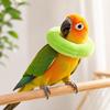 Soft Parrot Recovery Cone Comfortable Anti-Bite Anti Licking Collar Adjustable Breathable Bird Elizabethan Collar