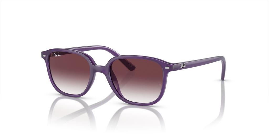 Sunglasses JUNIOR LEONARD RJ9093S [Ray-Ban]