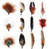10-12 Pcs Natural Peacock Feathers Colorful Real Feathers for Fedora Cowboy Party Hats DIY Crafts