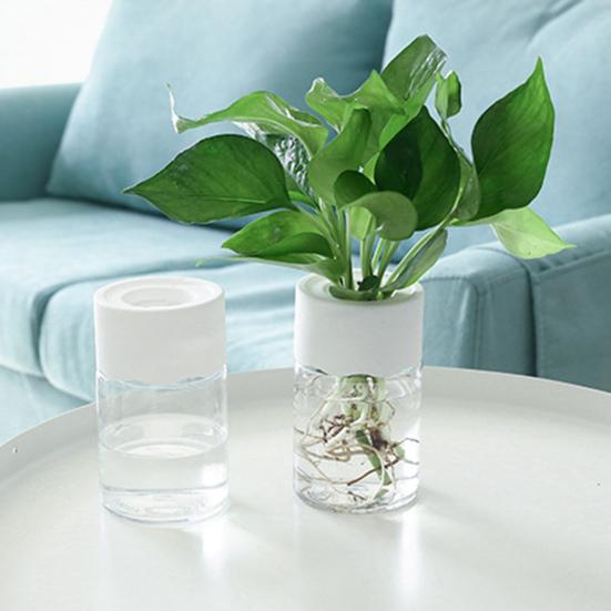 2 ks Mini hydroponický květináč Opakovaně použitelný Průhledný hydroponický květináč Stolní bezpůdní květináče na rostliny pro kancelářskou domácí dekoraci