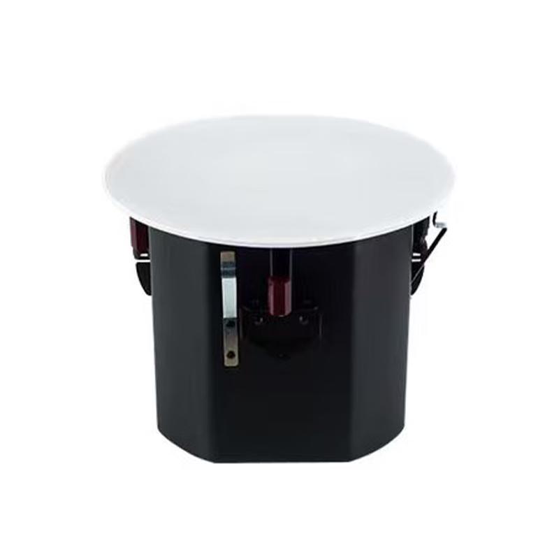 

Ruiqu 8-inch Coaxial Ceiling Speaker
