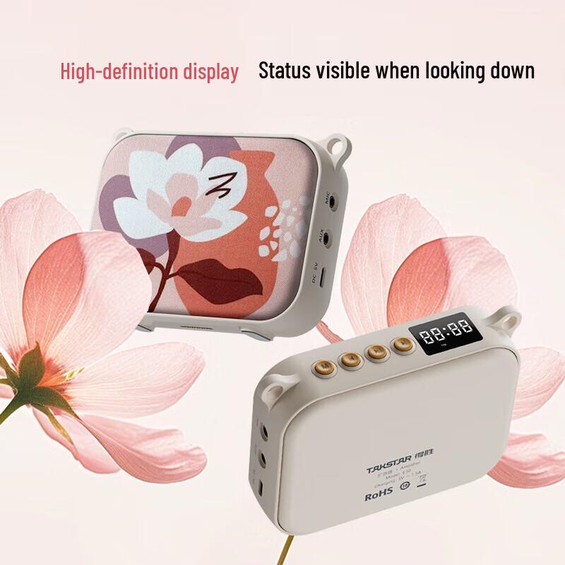 

TAKSTAR E30W Wireless Lavalier Voice Amplifier