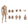 1/6 Male Action Figure Body 12 Inch Model Narrow Shoulder Man