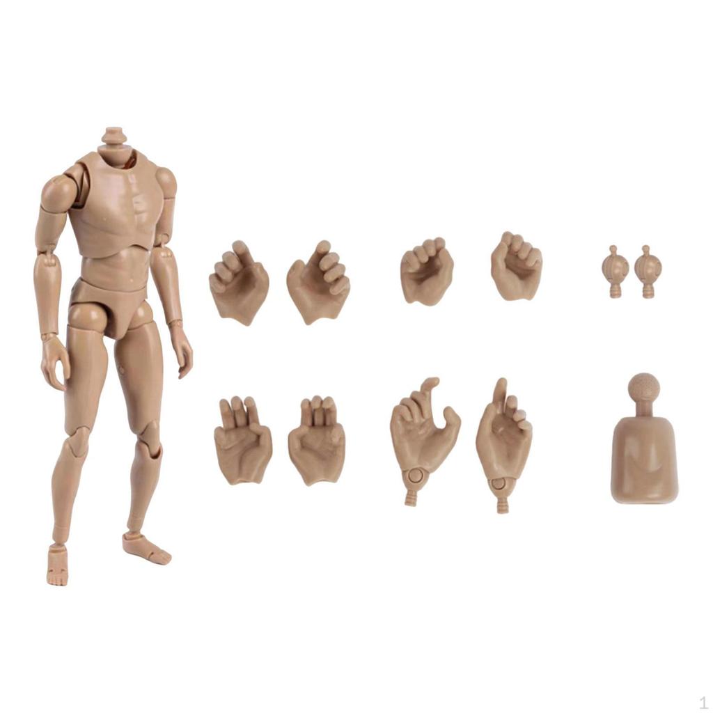 1/6 Male Action Figure Body 12 inch Model Narrow Shoulder Man