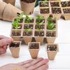 12-Cell Seedlings Tray Biodegradable Plant Pots Breathable Seeds Starter Tray with Tags And Tools for Flowers Vegetables Herbs Home Gardening