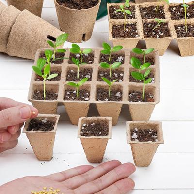12-Cell Seedlings Tray Biodegradable Plant Pots Breathable Seeds Starter Tray with Tags And Tools for Flowers Vegetables Herbs Home Gardening