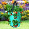 Plastic Strawberry Planting Bag Plant Grow Hanging Bag Garden Supplies