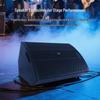 Huester FS-1265 12-inch Professional Stage Monitor Speaker (CN version)