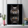 British Shorthair cat Pattern  3pcs 100% Round Full Drill 5D DIY Diamond Painting Embroidery Cross Stitch Rhinestone Décor